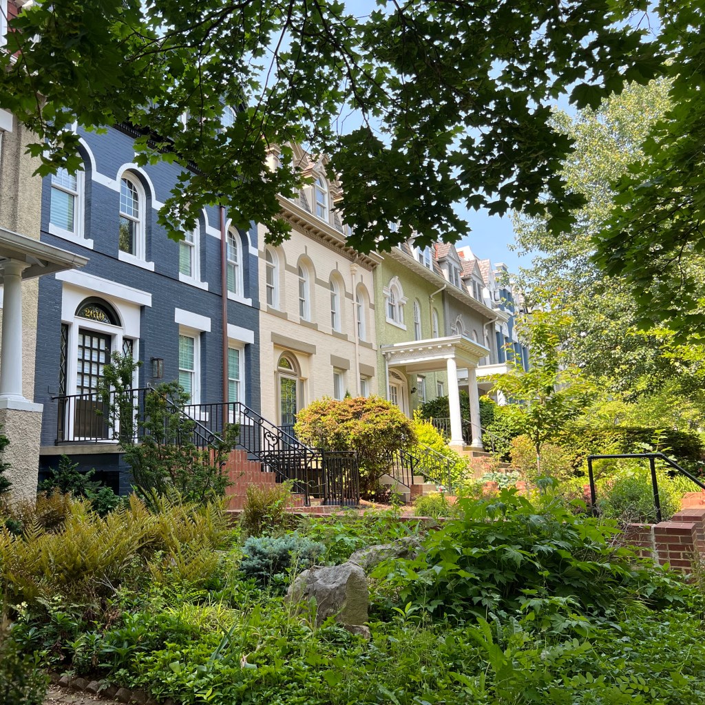 The Power of a Morning Walk!