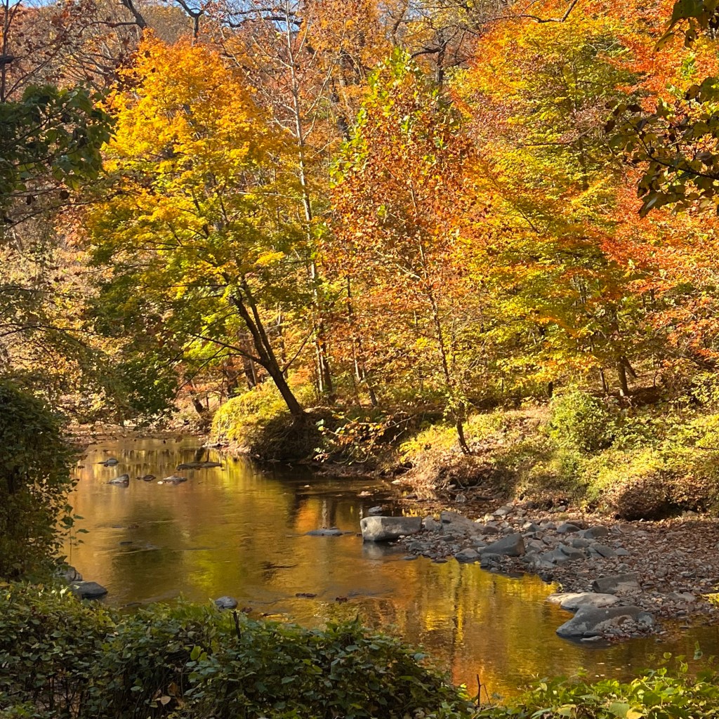 Hiking in the&nbsp;Fall