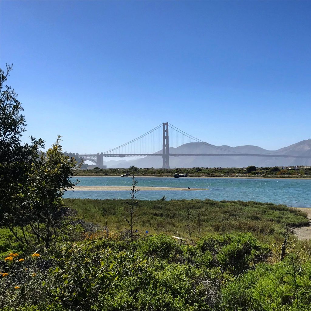 Big Sur Weekend: The Start of the Racecation&nbsp;Adventure