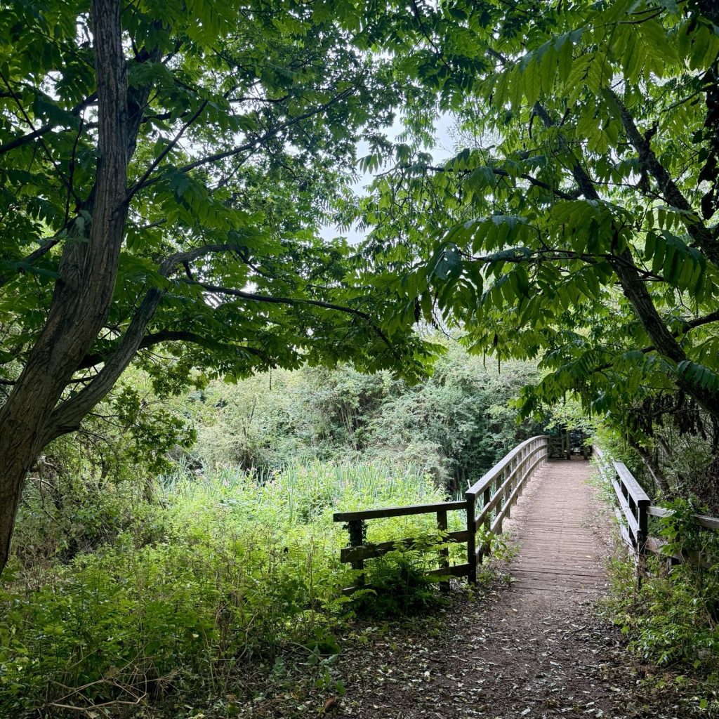 Best Running Trails Near Heathrow Airport: Explore Harmondsworth&nbsp;Moor